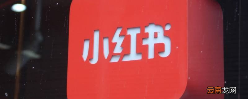 小红书能看历史浏览记录吗