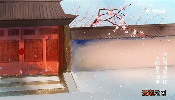 什么是诗歌 什么是诗