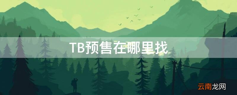 TB预售在哪里找 tb旗舰店在哪里找