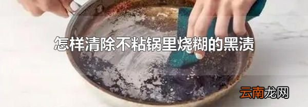 怎样清除不粘锅里烧糊的黑渍