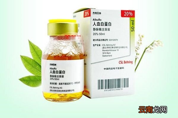 人体白蛋白的功效与作用 人体白蛋白主要起到什么作用