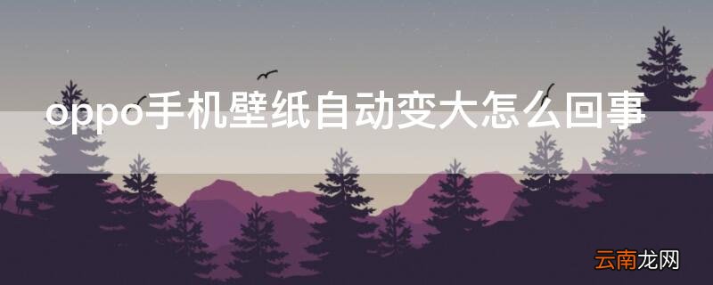 oppo手机壁纸自动变大怎么回事 为什么oppo壁纸自动增大