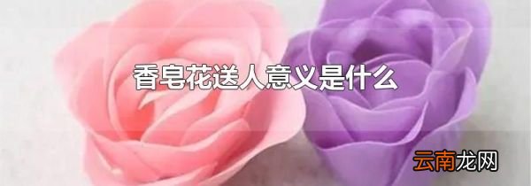香皂花送人意义是什么