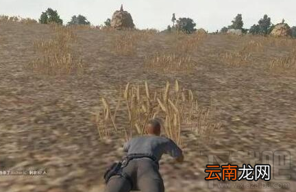 win 10绝地求生跳伞卡顿怎么办?是配置问题吗?