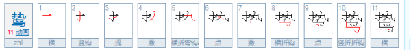 鸷鸟是什么鸟，鸷怎么读音是什么意思