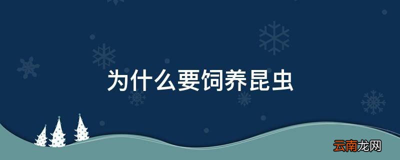 为什么要饲养昆虫