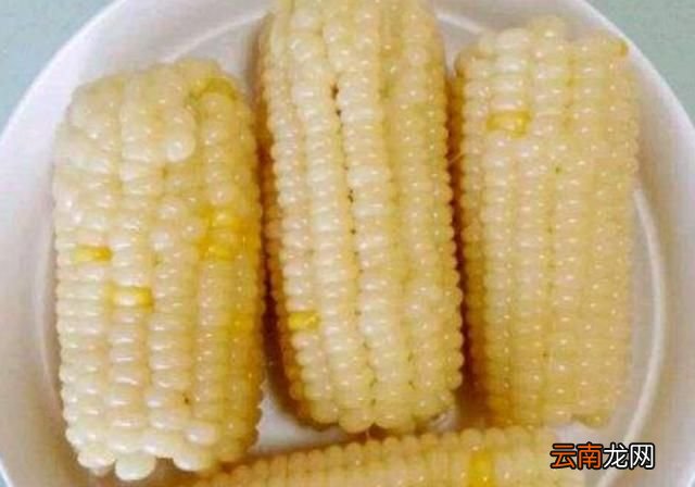 为什么感觉烤玉米和煮玉米味道不一样呢