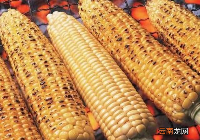 为什么感觉烤玉米和煮玉米味道不一样呢