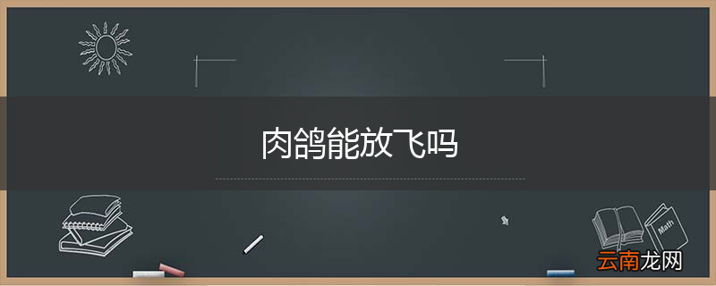 肉鸽能放飞吗