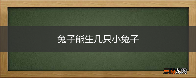 兔子能生几只小兔子