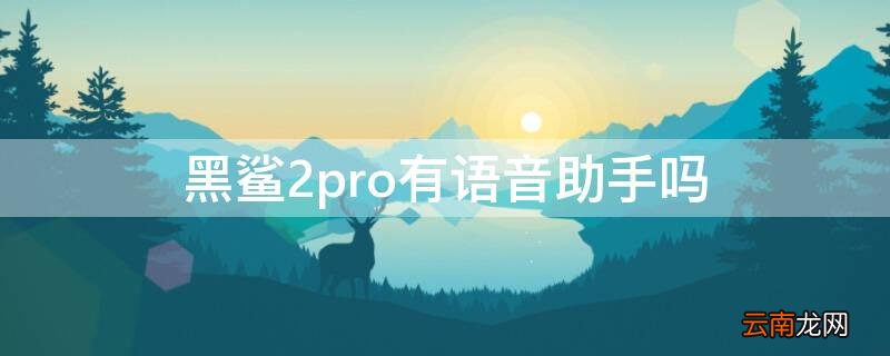 黑鲨四有语音助手吗 黑鲨2pro有语音助手吗
