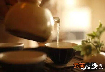 普洱新茶、老茶、生茶、熟茶冲泡技巧解析