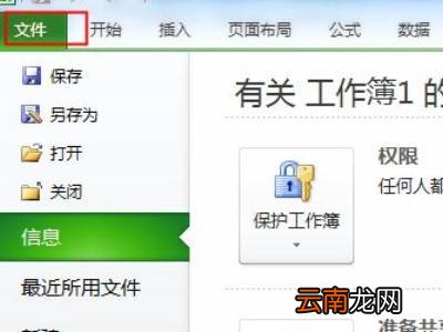 excel启动后默认的文件类型是