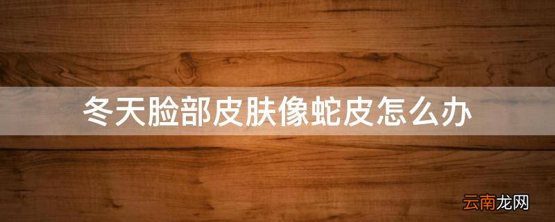 冬天脸部皮肤像蛇皮怎么办