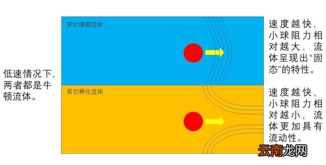 什么是非牛顿流体 原理,非牛顿流体可以承受多大的力量