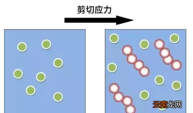 什么是非牛顿流体 原理,非牛顿流体可以承受多大的力量