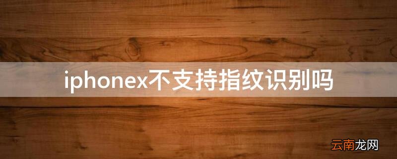 iPhonex不支持指纹识别吗 苹果x不支持指纹识别吗