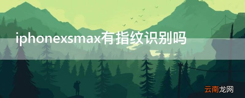 iphonexsmax有指纹吗? iPhonexsmax有指纹识别吗
