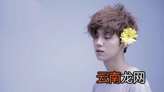 鹿晗会退出跑男吗