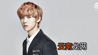 鹿晗会退出跑男吗