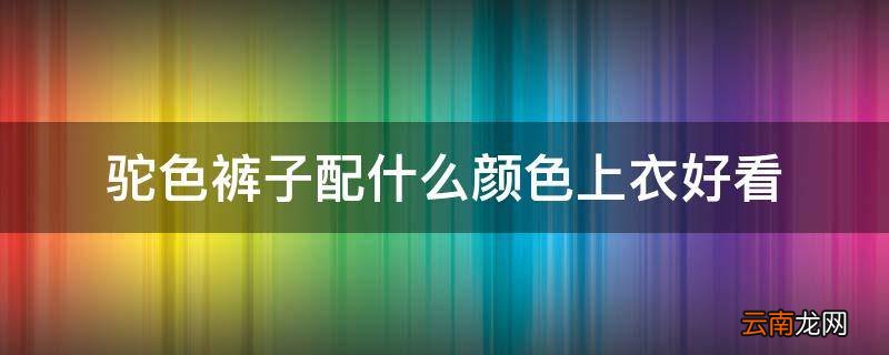驼色裤子配什么颜色上衣好看