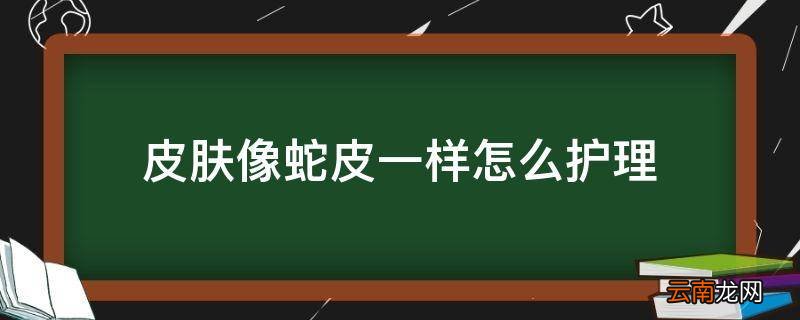 皮肤像蛇皮一样怎么护理