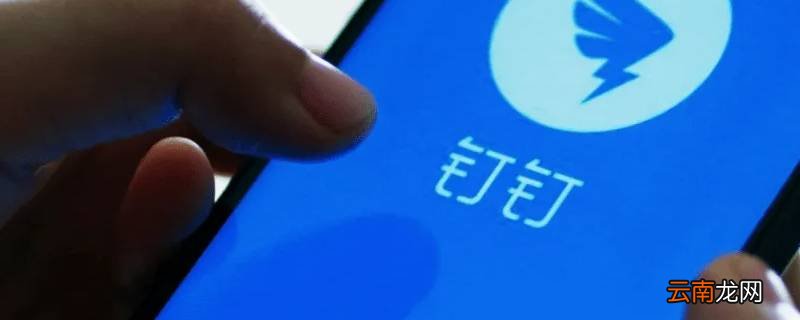 钉钉红包过期多久退回