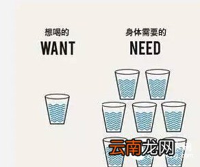 喝水的最佳时间：多喝不如会喝