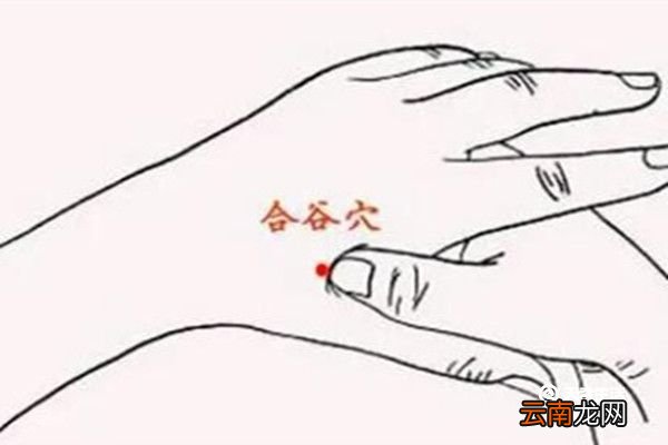 按摩合谷的功效与作用 按摩合谷的功效