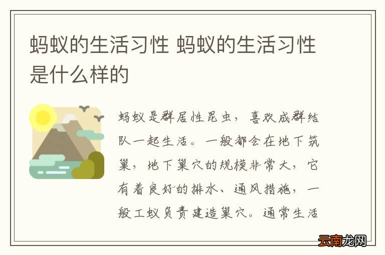 蚂蚁的生活习性 蚂蚁的生活习性是什么样的