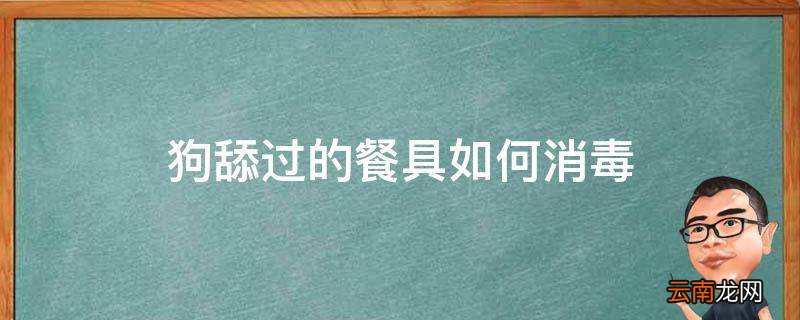 狗舔过的餐具如何消毒