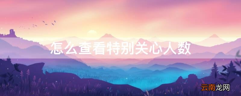 怎么查看特别关心人数