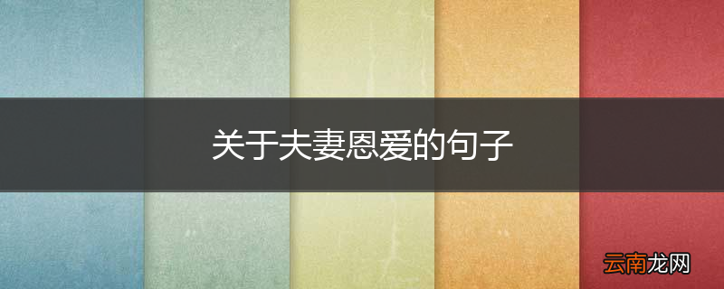关于夫妻恩爱的句子