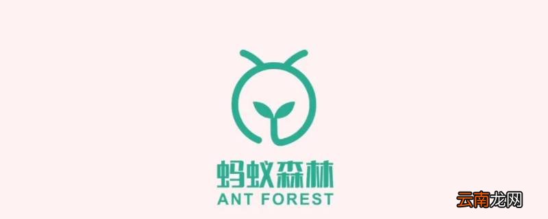 蚂蚁森林5g是什么消费
