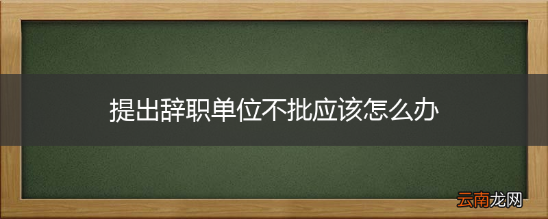 提出辞职单位不批应该怎么办