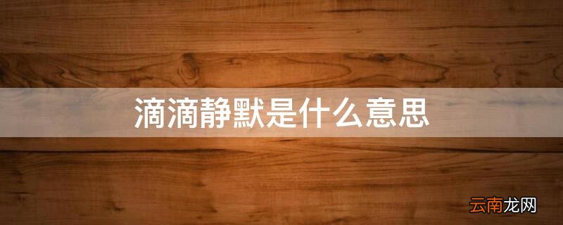 滴滴 静默 滴滴静默是什么意思