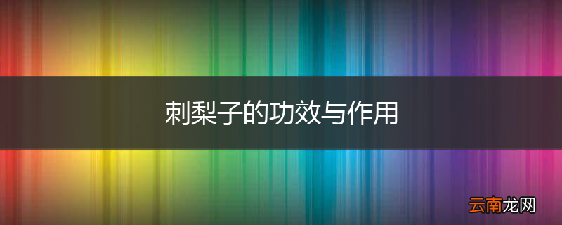 刺梨子的功效与作用