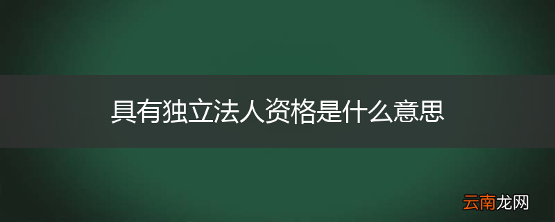 具有独立法人资格是什么意思