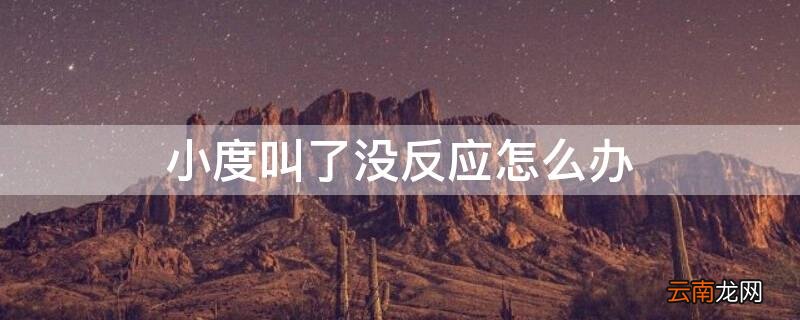 小度叫了没反应怎么办
