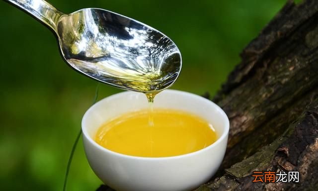茶油可以生吃吗,坐月子生吃茶油