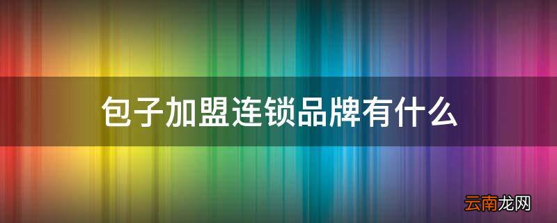 包子加盟连锁品牌有什么