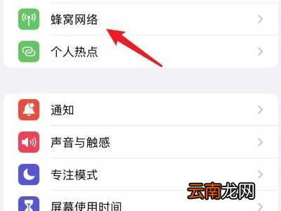 苹果13怎么关闭5g