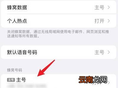 苹果13怎么关闭5g