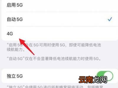 苹果13怎么关闭5g