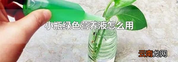 小瓶绿色营养液怎么用