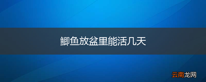 鲫鱼放盆里能活几天