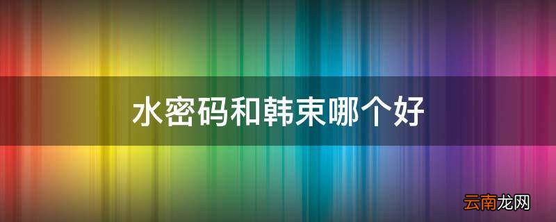 水密码和韩束哪个好