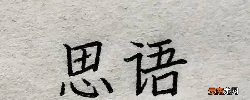 思语是什么聊天软件