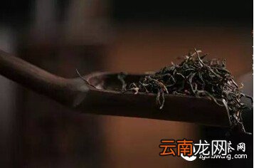 【学茶记】正山小种真假“松烟香”