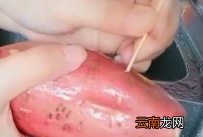电饭锅怎样蒸红薯，电饭煲蒸红薯的方法窍门